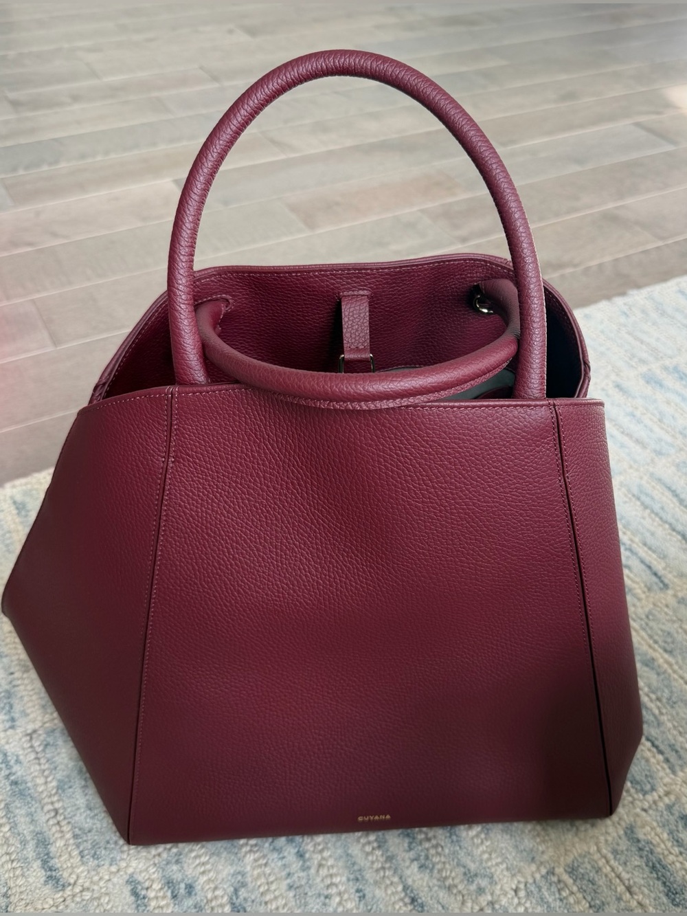 Cuyana Forma Satchel in Cherry